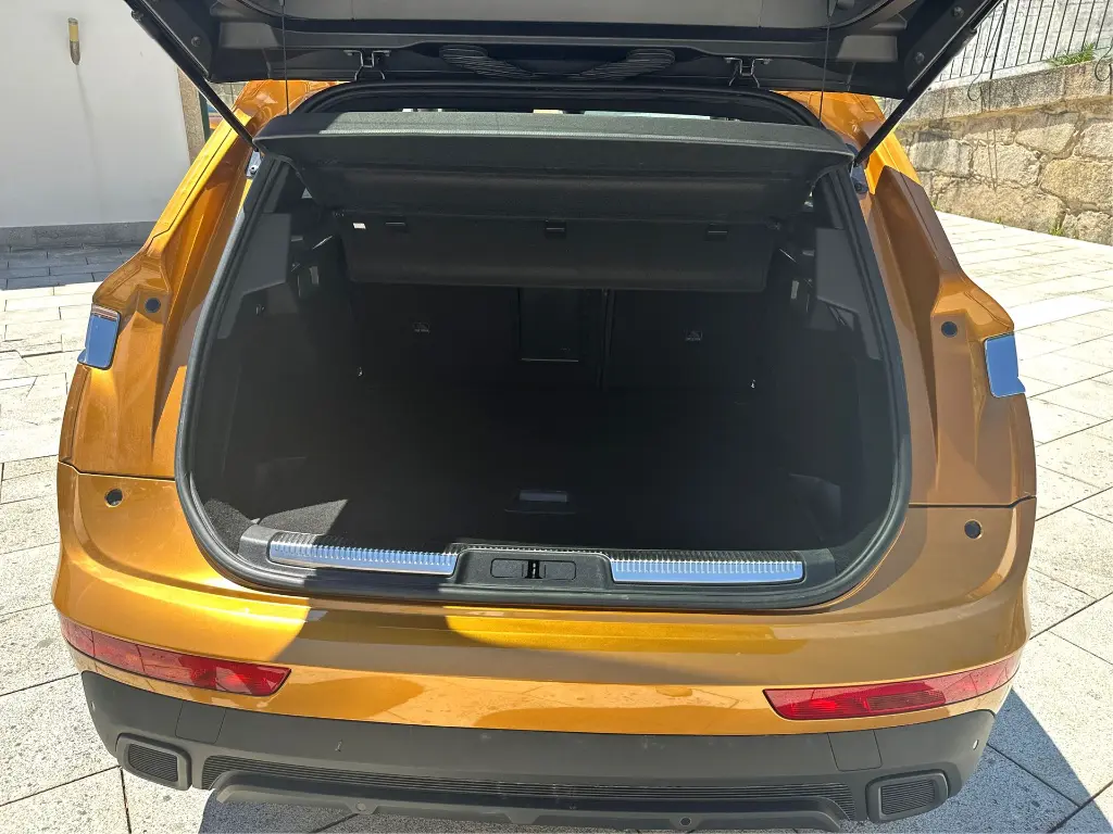 11 - Trunk.webp